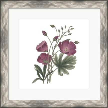 Framed Monument Etching Tile Flowers III Print
