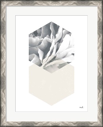 Framed Blossoms IV v2 Print