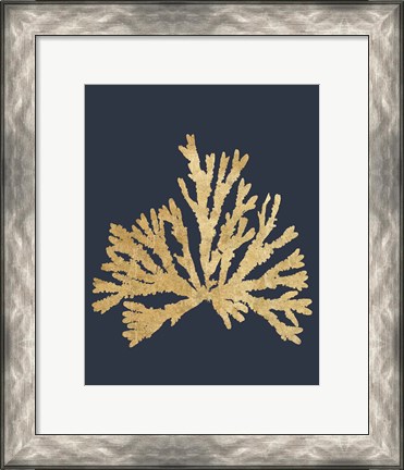 Framed Pacific Sea Mosses IV Indigo Print