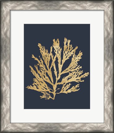 Framed Pacific Sea Mosses I Indigo Print