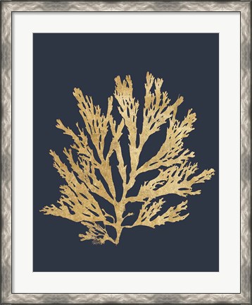 Framed Pacific Sea Mosses I Indigo Print