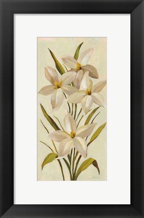 Framed Elegant White Florals II Print