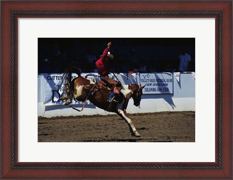Framed Saddle Bronc Rider Print