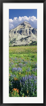 Framed Lupine And Indian Paintbrush Flowers At Bottom Of Fossil Mountain, Wyoming Print