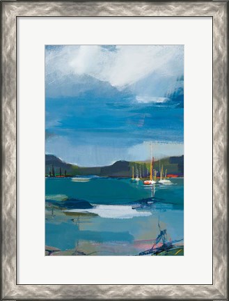 Framed Coastal Display II Print