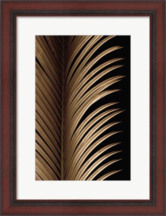 Framed Tropical Leaf Study I Print