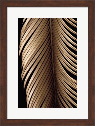 Framed Tropical Leaf Study II Print