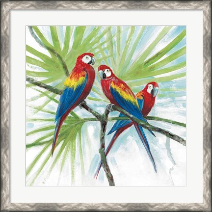 Framed Parrots Print