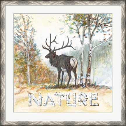 Framed Nature Print