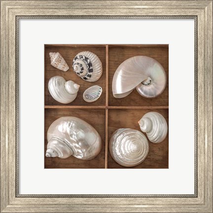 Framed Seashells Treasures I Print