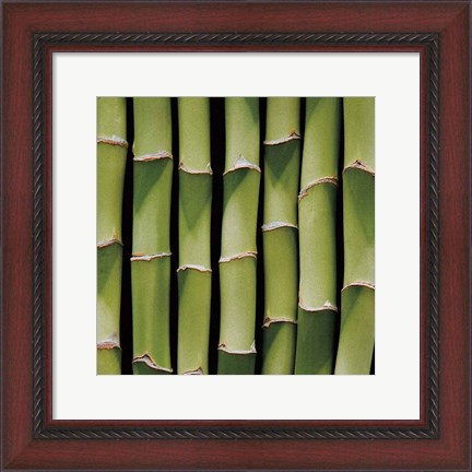 Framed Bamboo Lengths Print