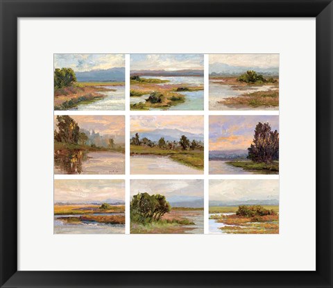 Framed Jewels of the Wetlands, Series One Print