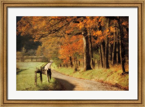 Framed Autumn&#39;s Morning Light Print