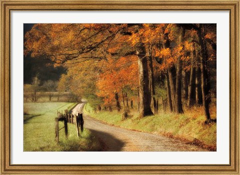 Framed Autumn&#39;s Morning Light Print