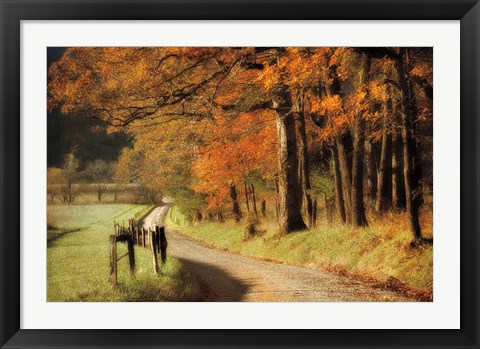 Framed Autumn&#39;s Morning Light Print