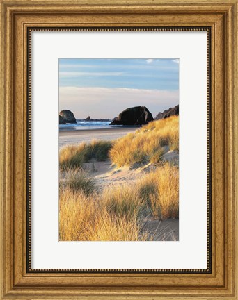 Framed Dune Grass And Beach II Print