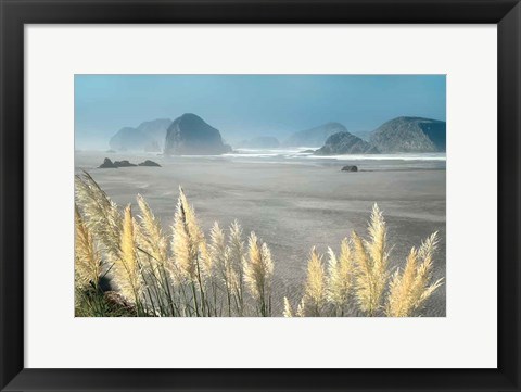 Framed Pampas Beach Print