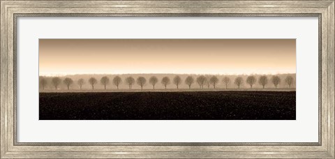Framed Dappled Morning Fields Print