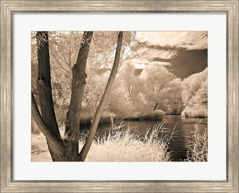Framed Lakefront View I Print
