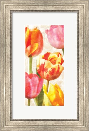 Framed Glowing Tulips II Print