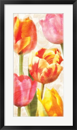 Framed Glowing Tulips II Print
