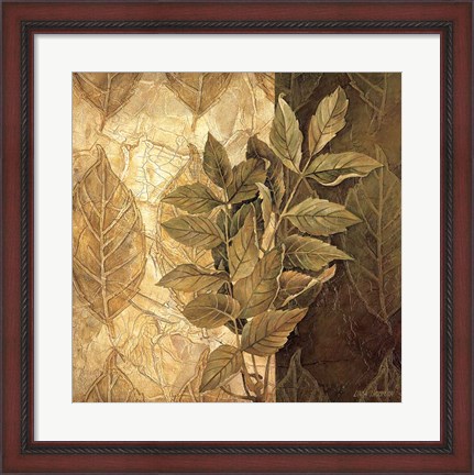 Framed Leaf Patterns IV Print