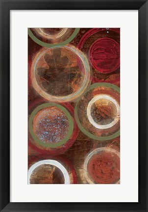 Framed Nature&#39;s Spheres I Print