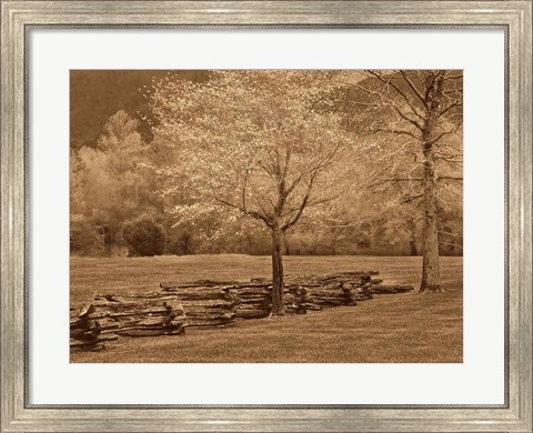 Framed Smokies Fence Print