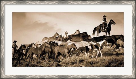 Framed Gathering the Herd Print