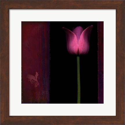 Framed Red Tulip I Print