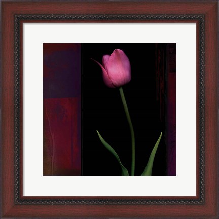 Framed Red Tulip II Print