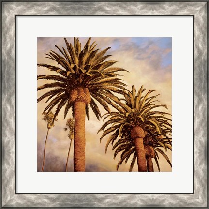 Framed Fog Over Canary Palms Print