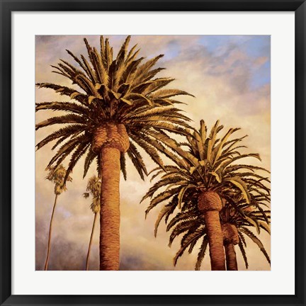 Framed Fog Over Canary Palms Print