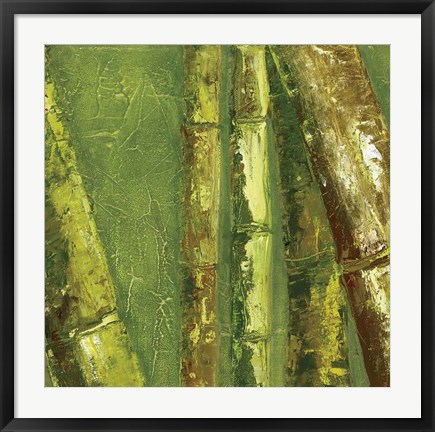 Framed Bamboo Columbia I Print