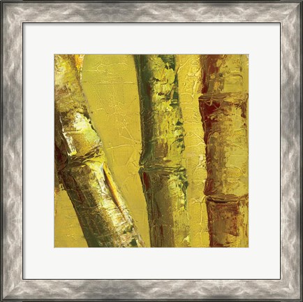 Framed Bamboo Columbia IV Print