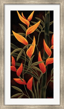 Framed Sunburst Blossoms Print