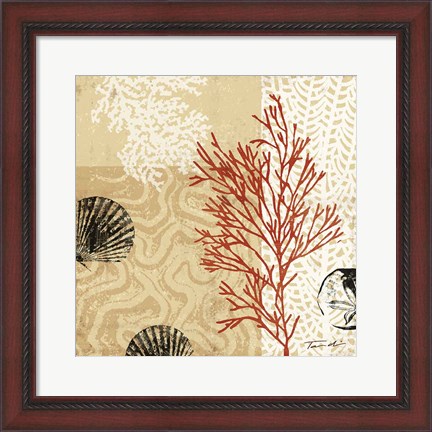 Framed Coral Impressions II Print