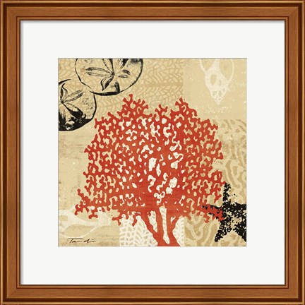 Framed Coral Impressions IV Print