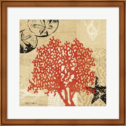 Framed Coral Impressions IV Print