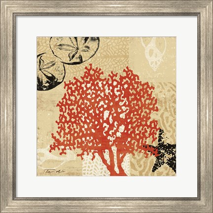 Framed Coral Impressions IV Print