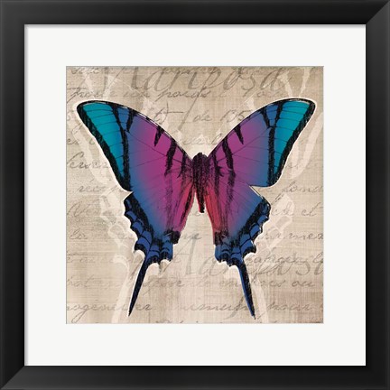 Framed Butterflies IV Print
