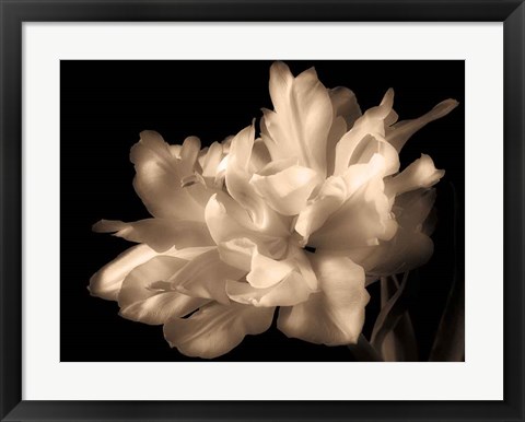 Framed Double Dappled I Print