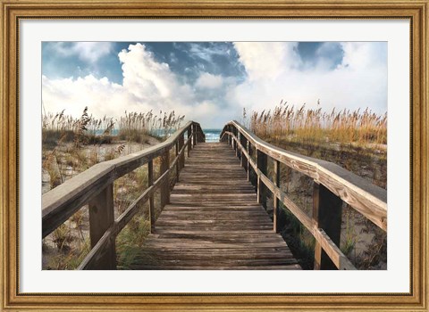 Framed Path To Paradise Print