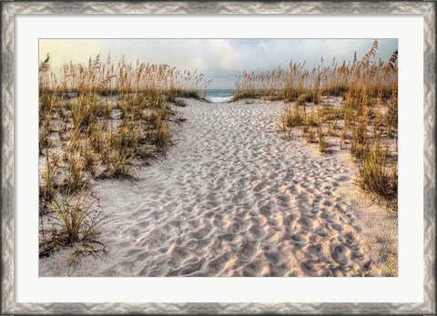 Framed Path To The Beach Print