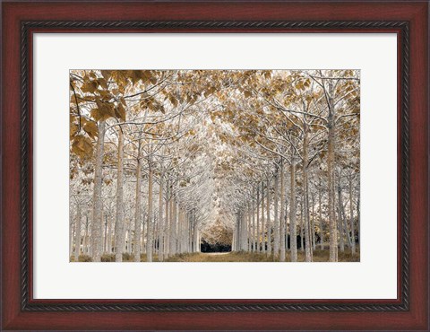 Framed White Gold Print