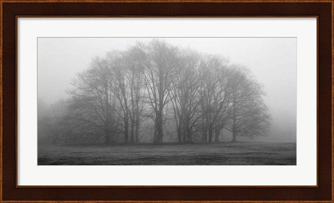 Framed Gathering Trees Print