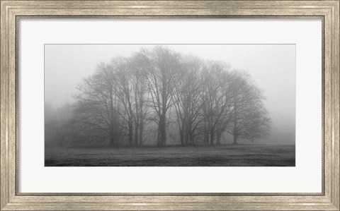 Framed Gathering Trees Print