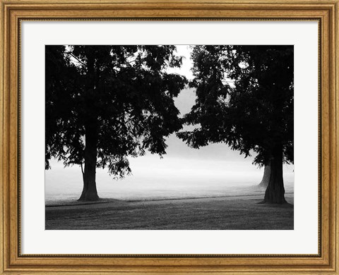 Framed Fog in the Park II Print