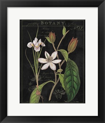 Framed Vintage White Flora III Print