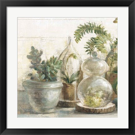 Framed Greenhouse Orchids on Shiplap II Print
